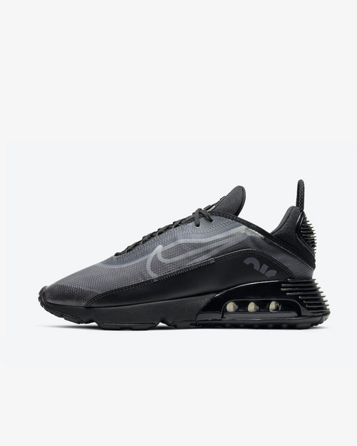 Zapatillas Air Max 2090 Black Wolf Grey